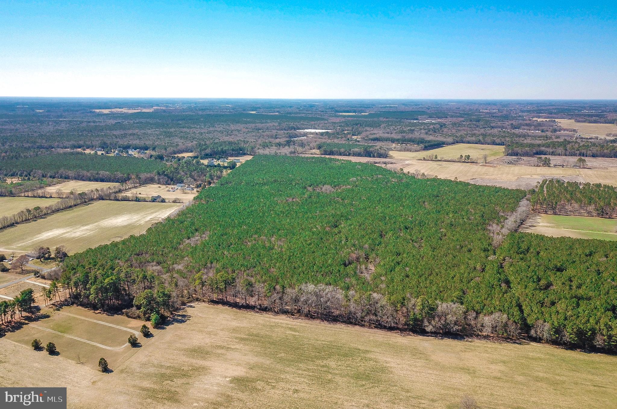 0 Melson Road Delmar, MD 21875 - Photo 10 of 16