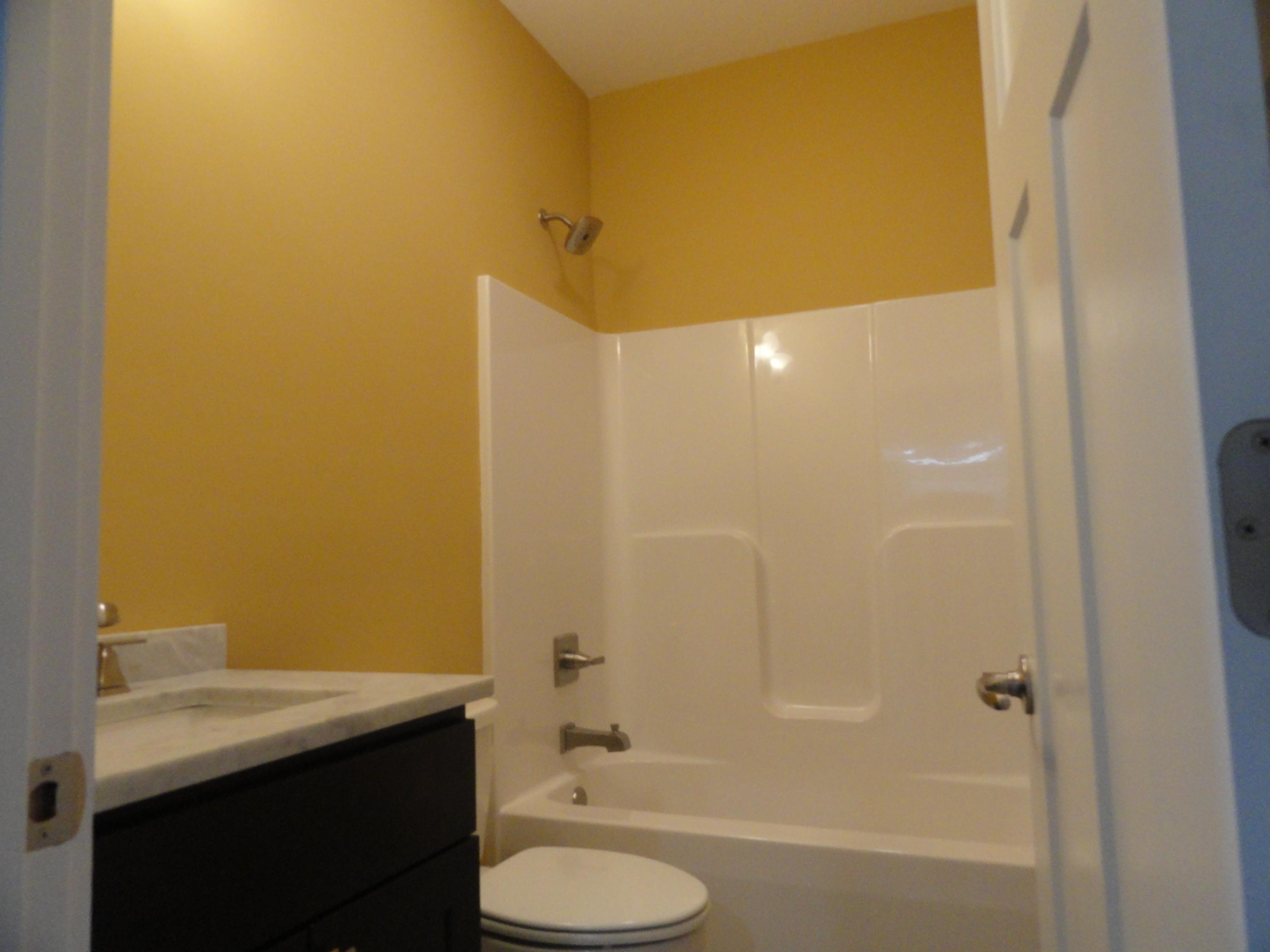 1035 Houston Springs Road Greenback, TN 37742 - Photo 31 of 38 Hall Full Bath