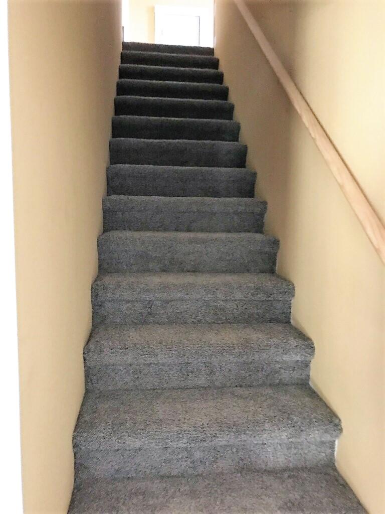 1035 Houston Springs Road Greenback, TN 37742 - Photo 32 of 38 Carpet Stairway to Bonus Room
