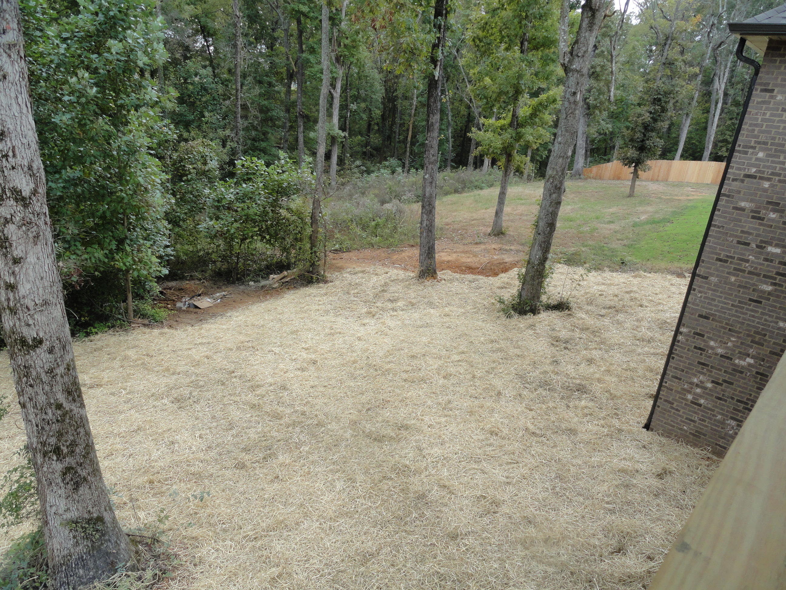 1035 Houston Springs Road Greenback, TN 37742 - Photo 8 of 38 Backyard