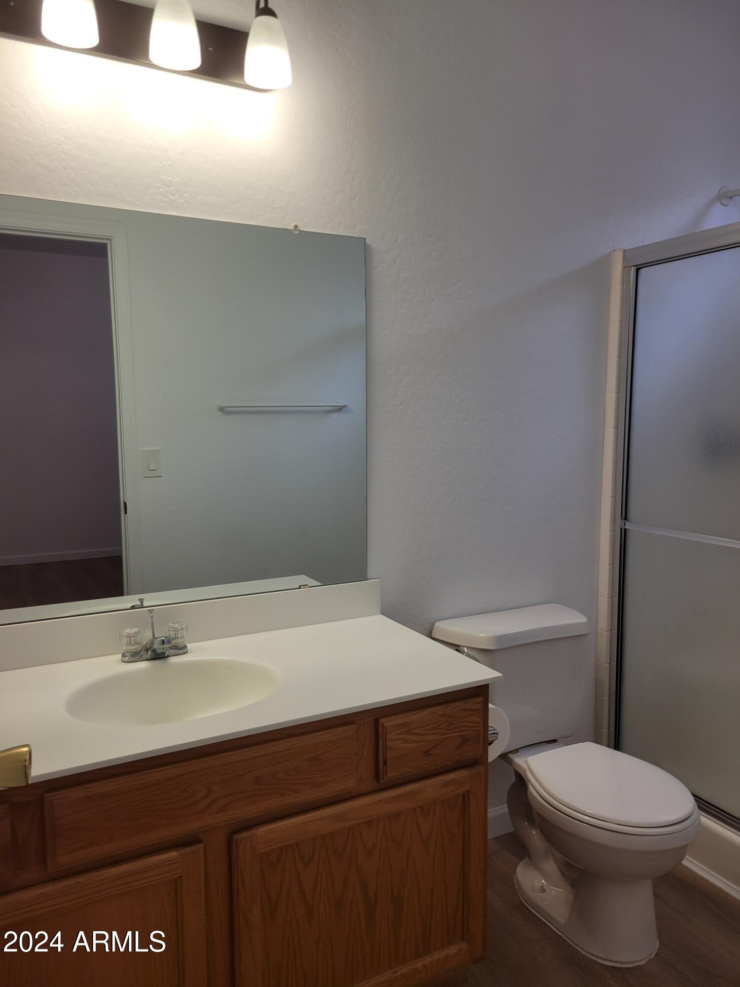 2300 East Magma Road, Unit 170 San Tan Valley, AZ 85143 - Photo 18 of 22 a bathroom with a sink toilet and vanity