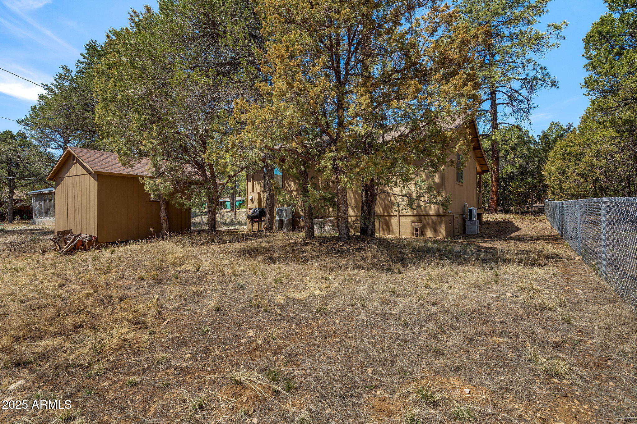 2979 Western Star Drive Overgaard, AZ 85933 - Photo 17 of 29 a view of backyard with tree