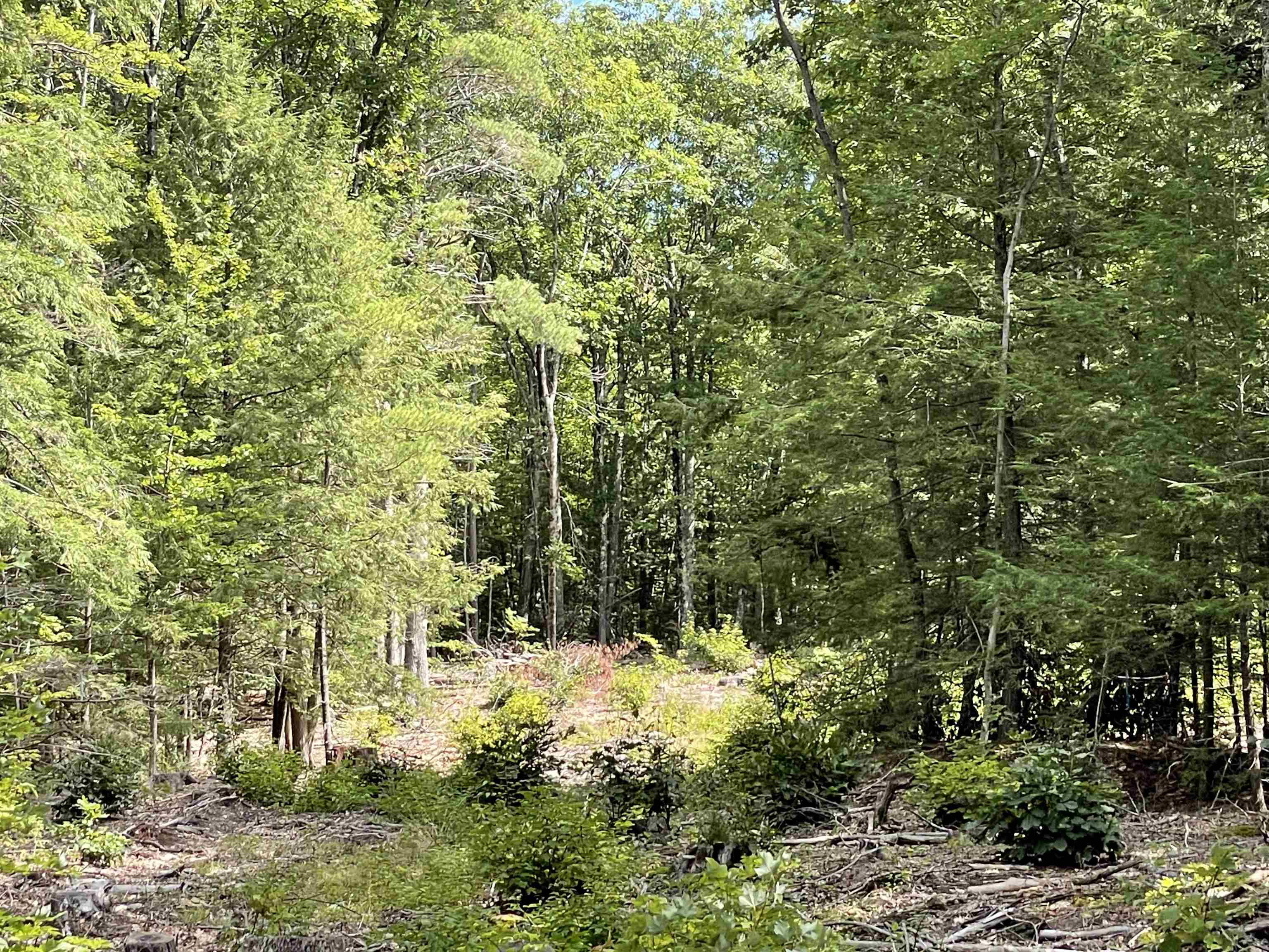 829 Old County Road North Deering, NH 03244 - Photo 1 of 4