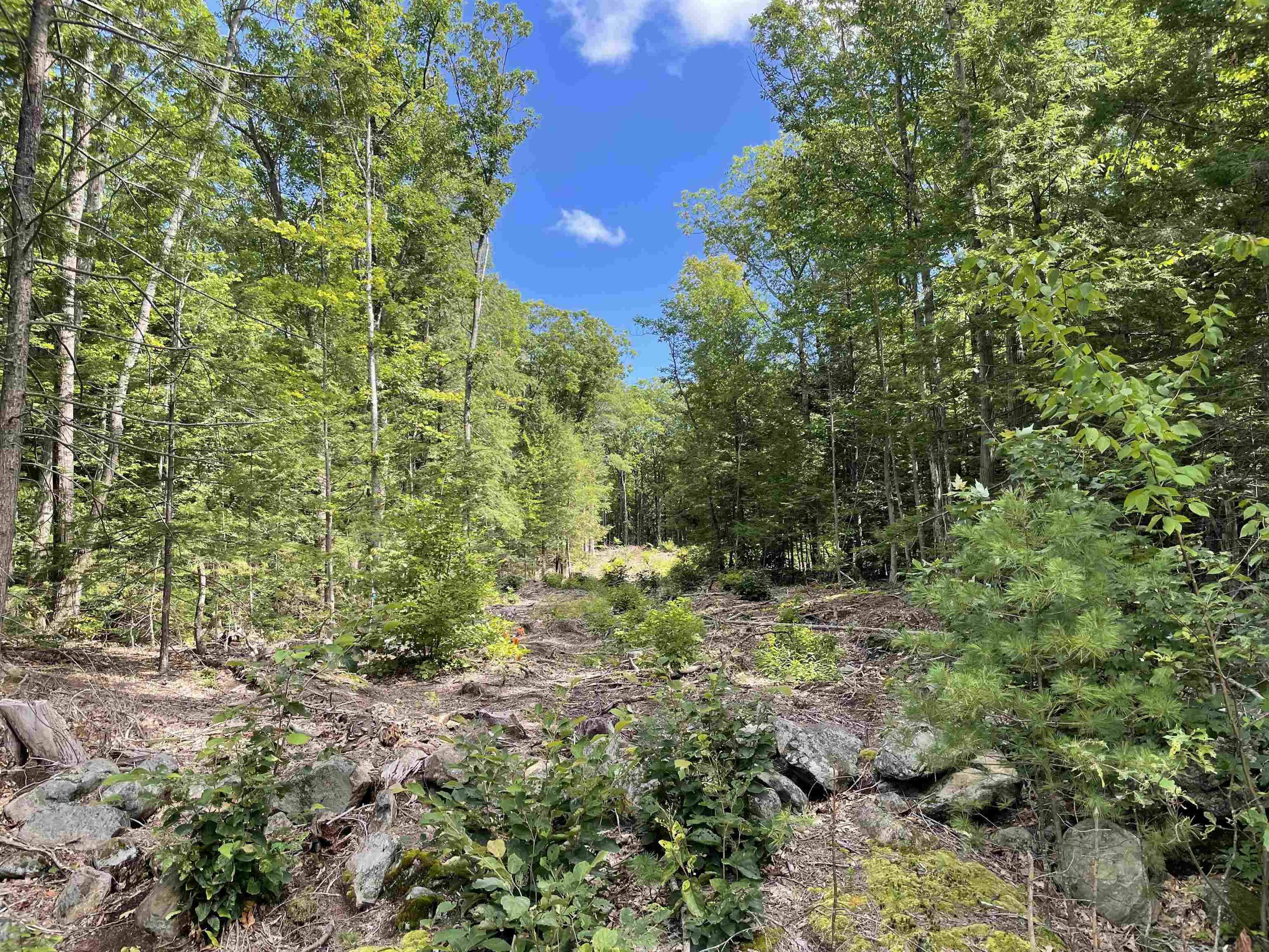 829 Old County Road North Deering, NH 03244 - Photo 2 of 4