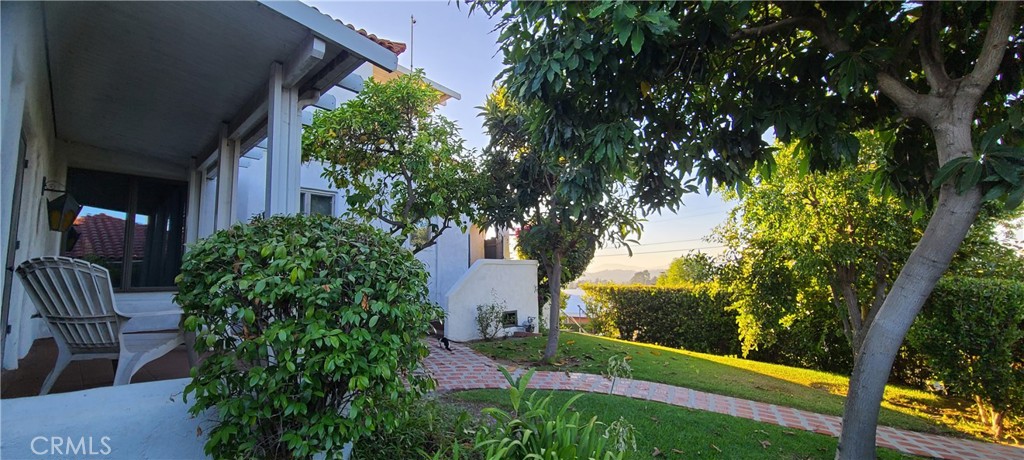311 Montechico Drive Monterey Park, CA 91754 - Photo 48 of 73 Back yard - covered veranda and fruit/citrus trees