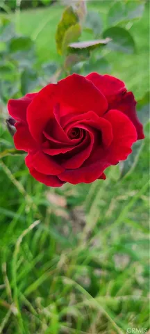 $1,500,000 | 311 Montechico Drive, Monterey Park, CA 91754