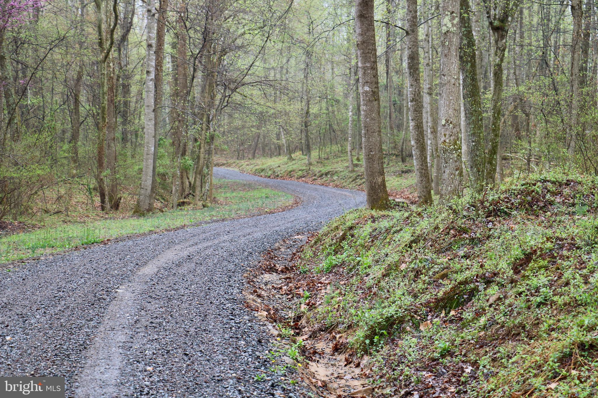 Gaschs Lane Castleton, VA 22716 - Photo 2 of 56 Gasch's Lane into the Property