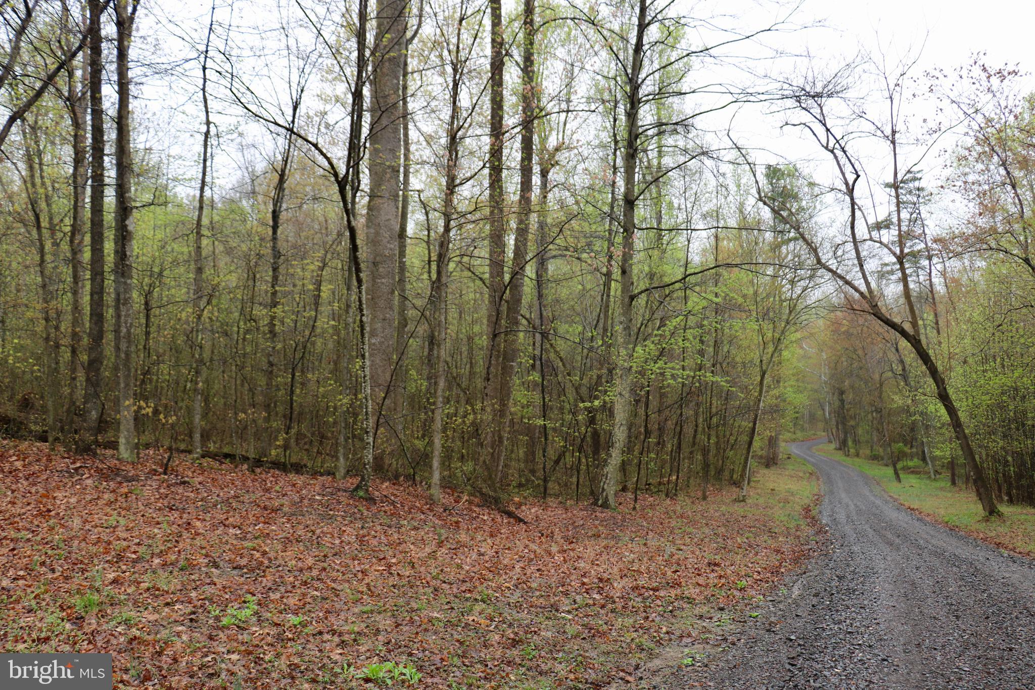 Gaschs Lane Castleton, VA 22716 - Photo 12 of 56 Land just R of the Cul-de-sac at the Far End