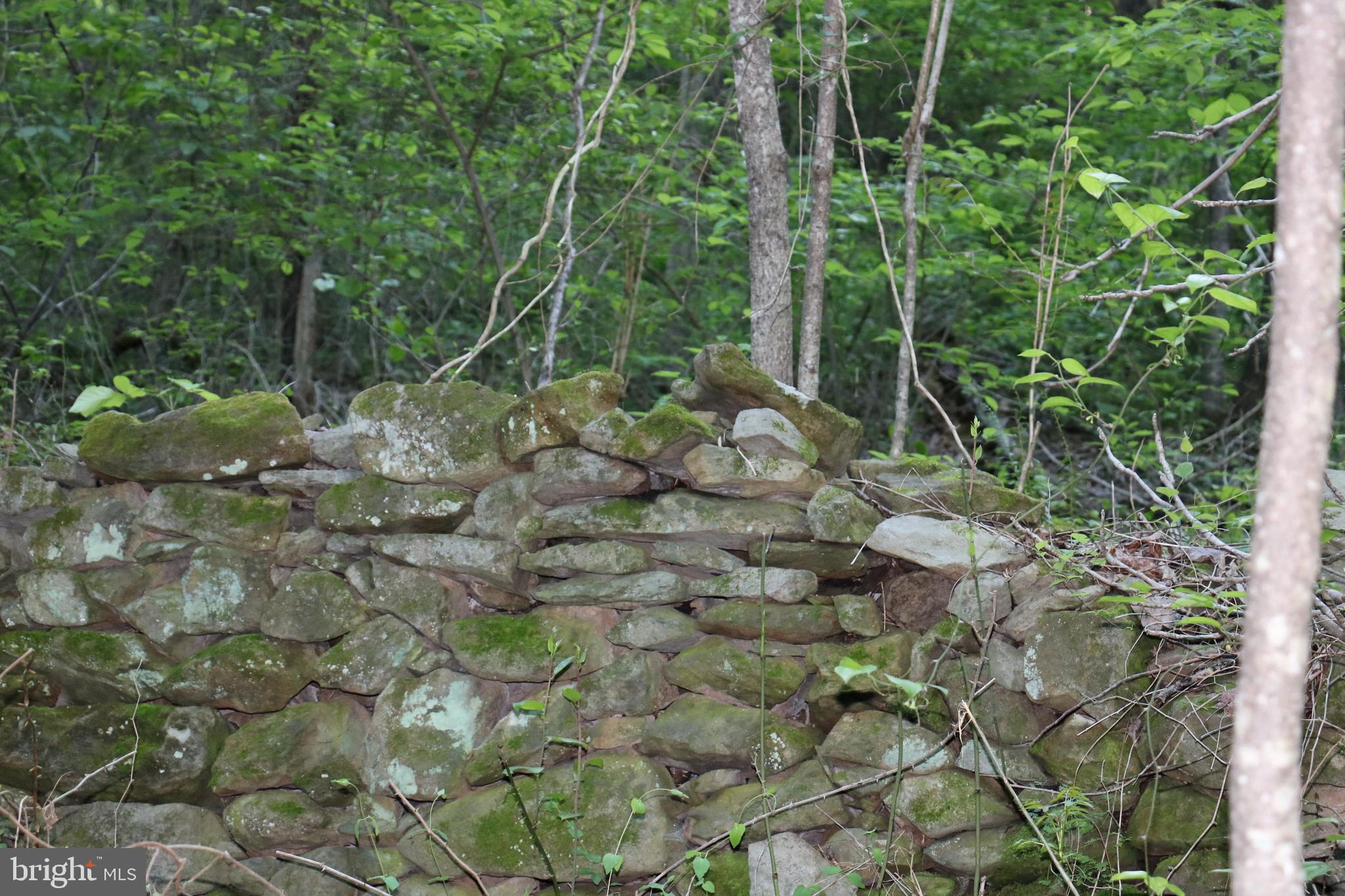 Gaschs Lane Castleton, VA 22716 - Photo 19 of 56