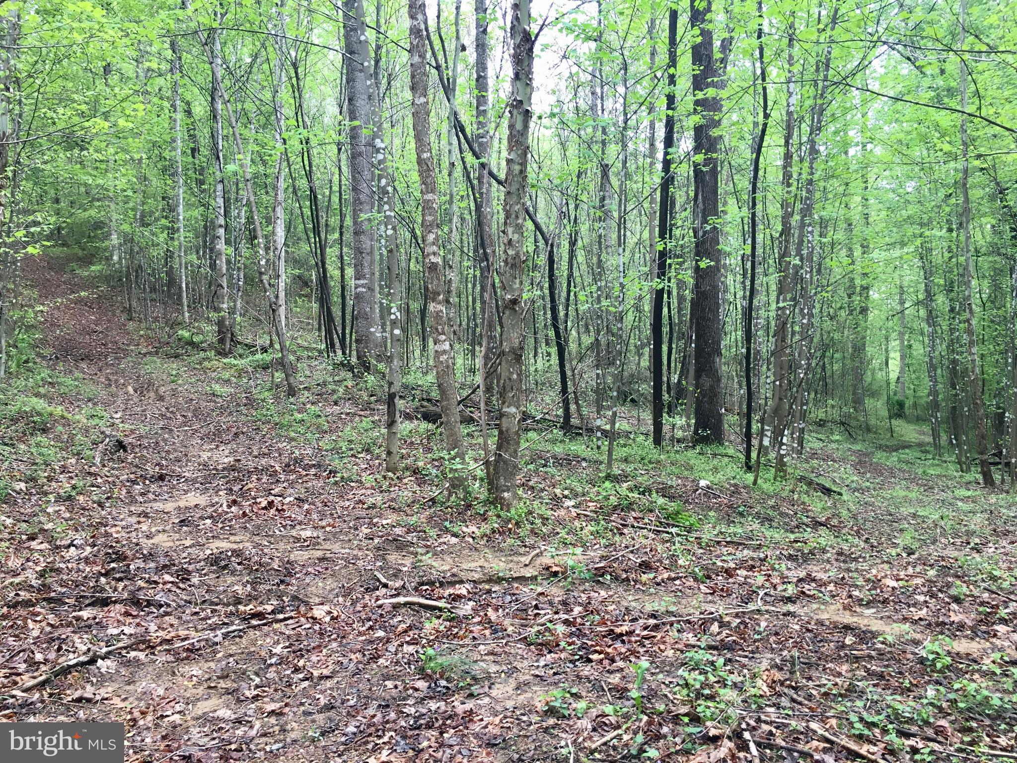 Gaschs Lane Castleton, VA 22716 - Photo 3 of 56 Trails Converge