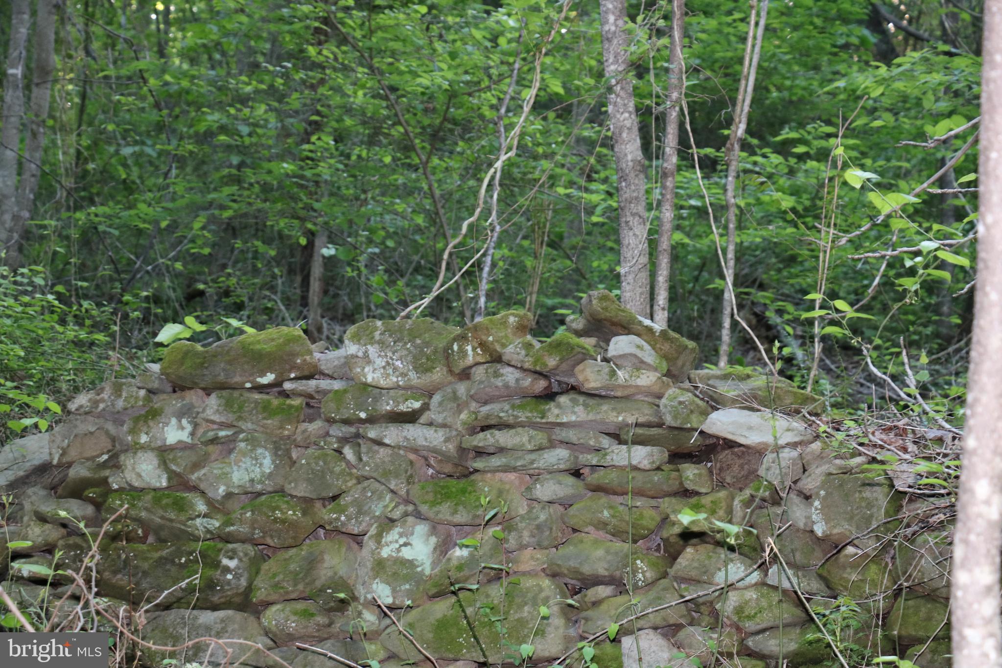 Gaschs Lane Castleton, VA 22716 - Photo 25 of 56