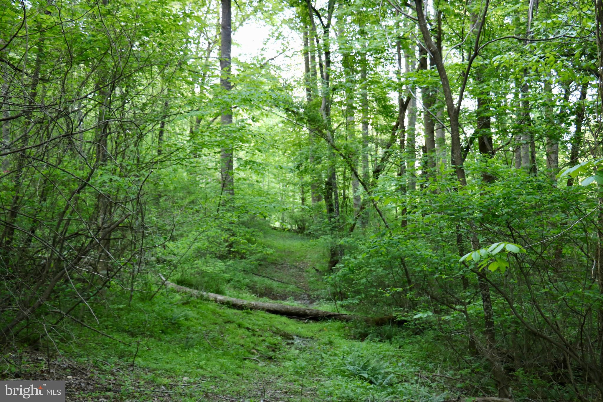 Gaschs Lane Castleton, VA 22716 - Photo 33 of 56