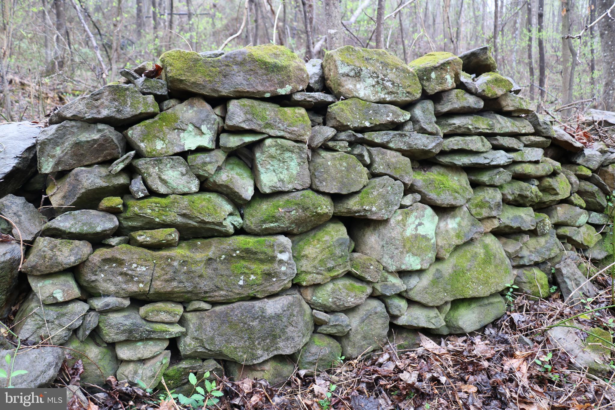 Gaschs Lane Castleton, VA 22716 - Photo 5 of 56 Fabulous Stone Wall Within Property Boundaries