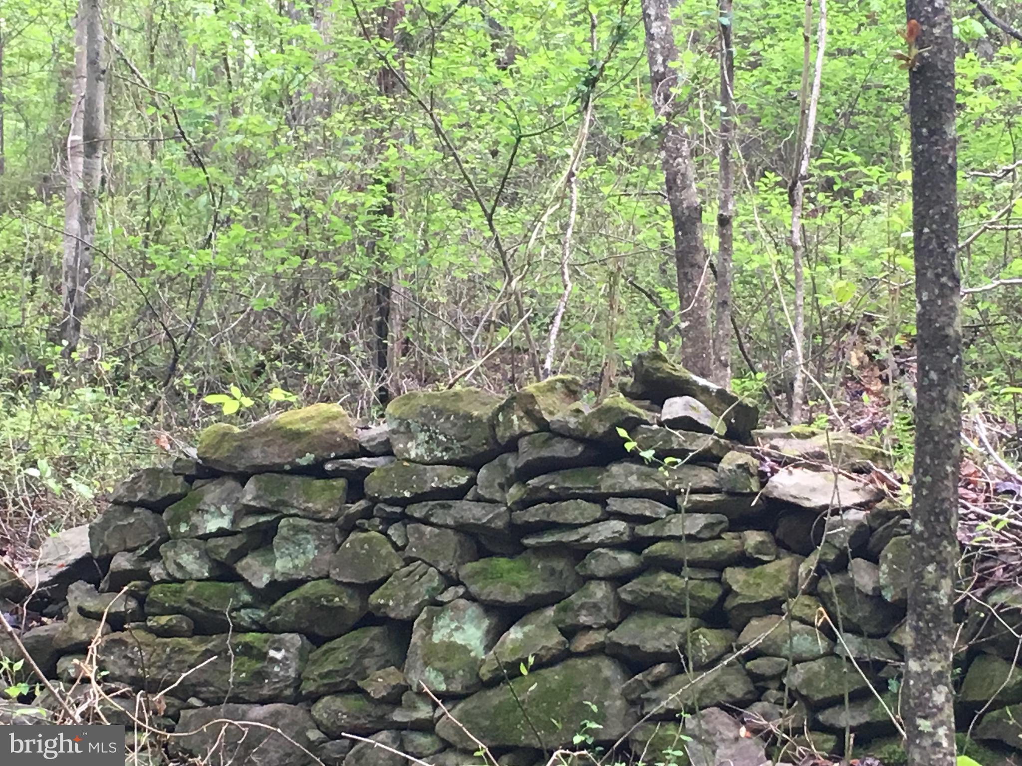 Gaschs Lane Castleton, VA 22716 - Photo 49 of 56