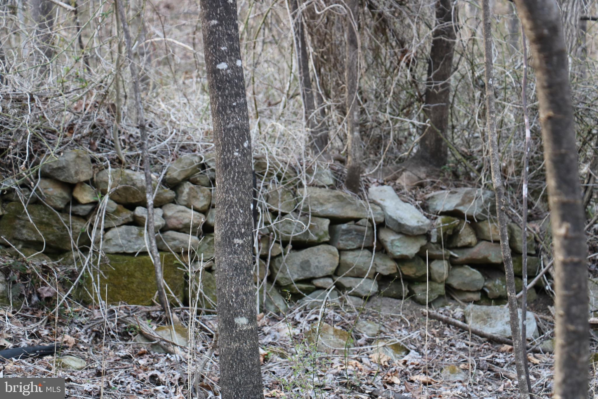 Gaschs Lane Castleton, VA 22716 - Photo 6 of 56 Some Sections Require More Repair than Others