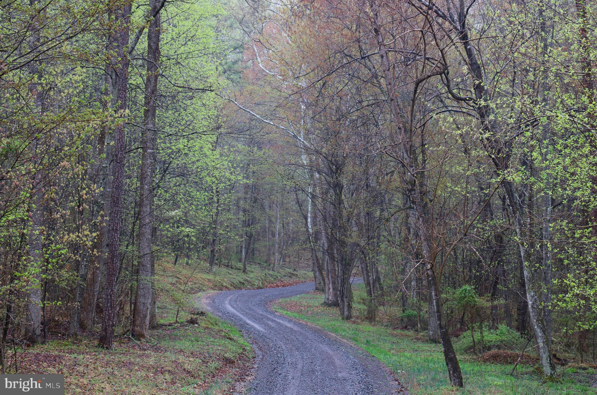Gaschs Lane Castleton, VA 22716 - Photo 51 of 56 The Lovely Gaschs Lane
