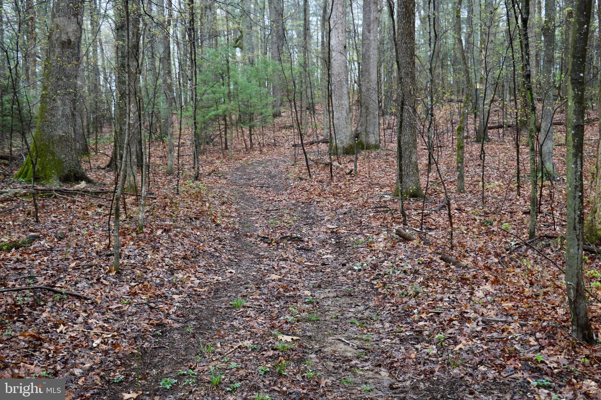 Gaschs Lane Castleton, VA 22716 - Photo 9 of 56 Sample Terrain