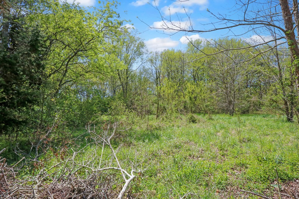 22622 Lee Mont Road Parksley, VA 23421 - Photo 25 of 26