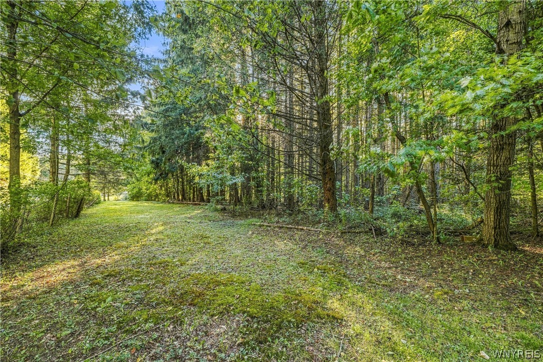 7771 Kuhn Road West Valley, NY 14171 - Photo 34 of 38 Gallery Image 34
