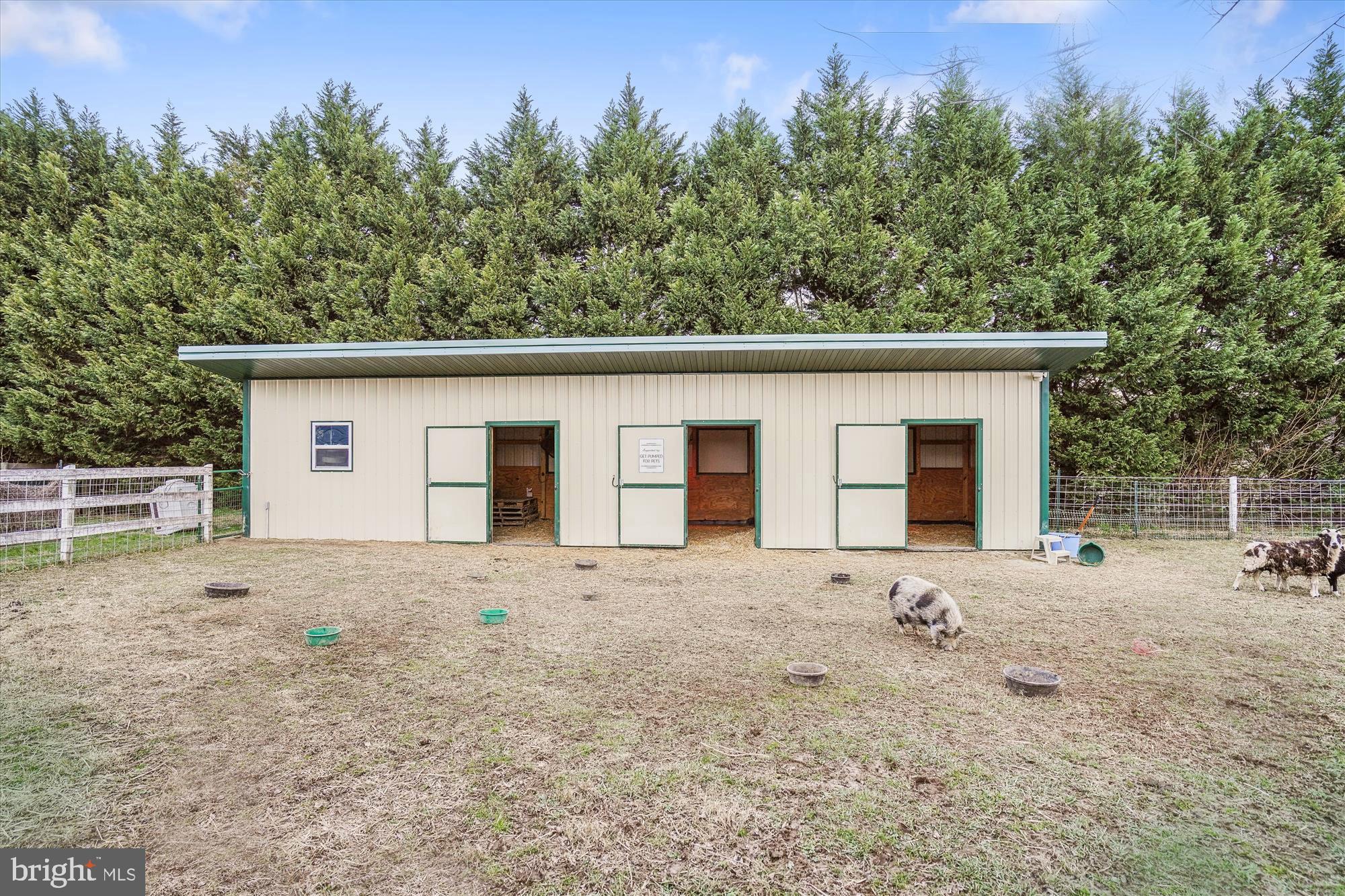 241 Bryce Road Queenstown, MD 21658 - Photo 11 of 67 Outbuildings for Storage & Livestock