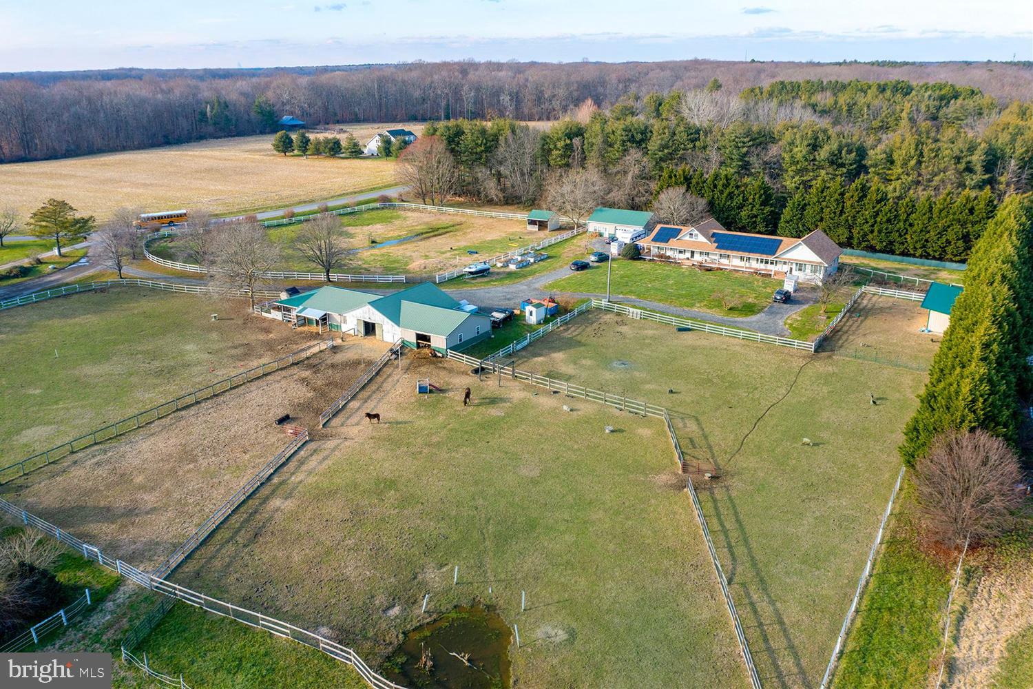 241 Bryce Road Queenstown, MD 21658 - Photo 15 of 67 14.32 Acres w/Well-Managed Layout