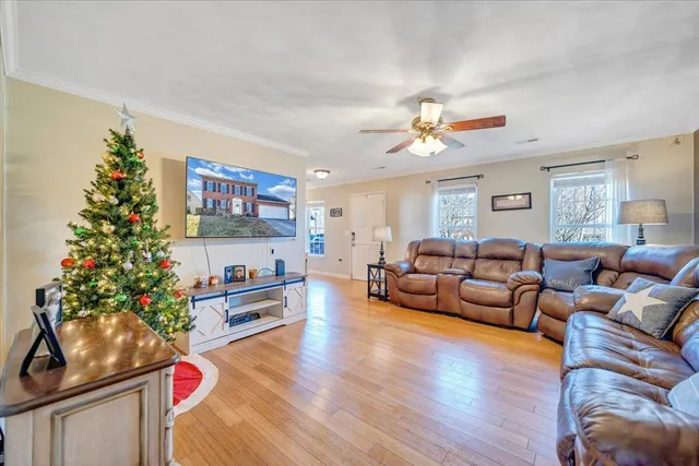 a living room with furniture and a potted plant