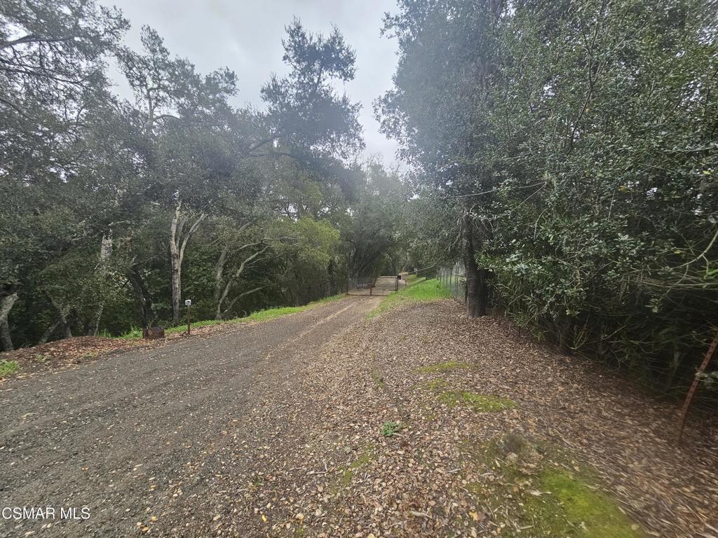 4997 Shadow Canyon Road Templeton, CA 93465 - Photo 16 of 18 a view of a field with trees in background