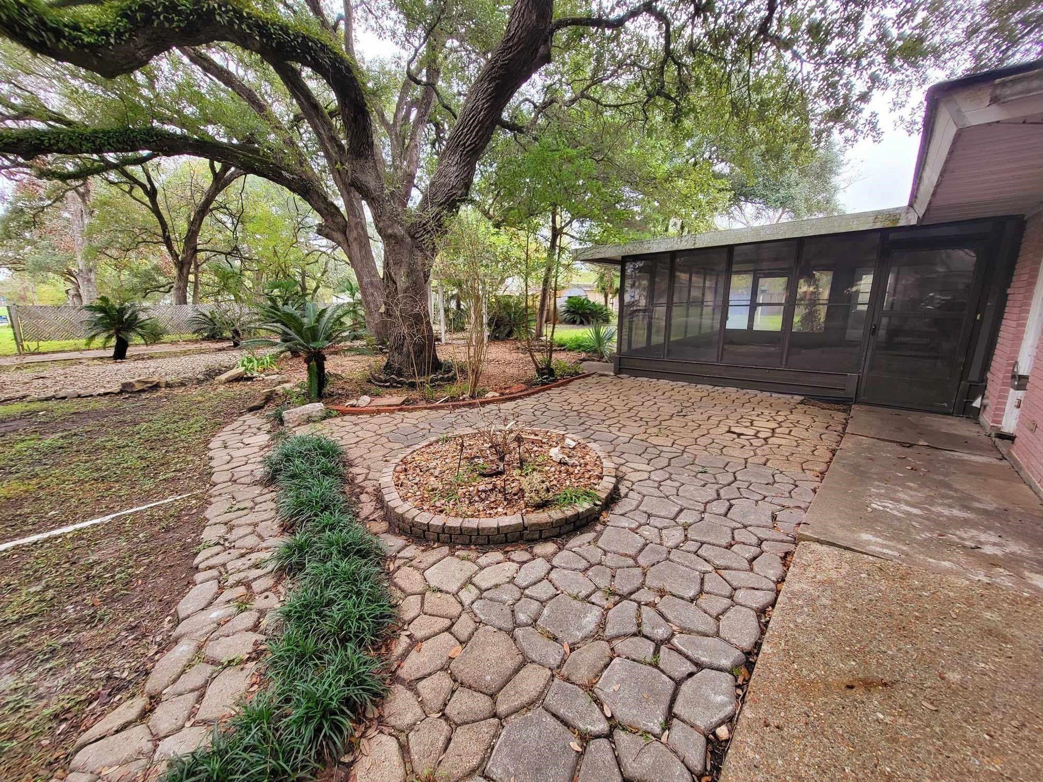 a view of a backyard with a tree