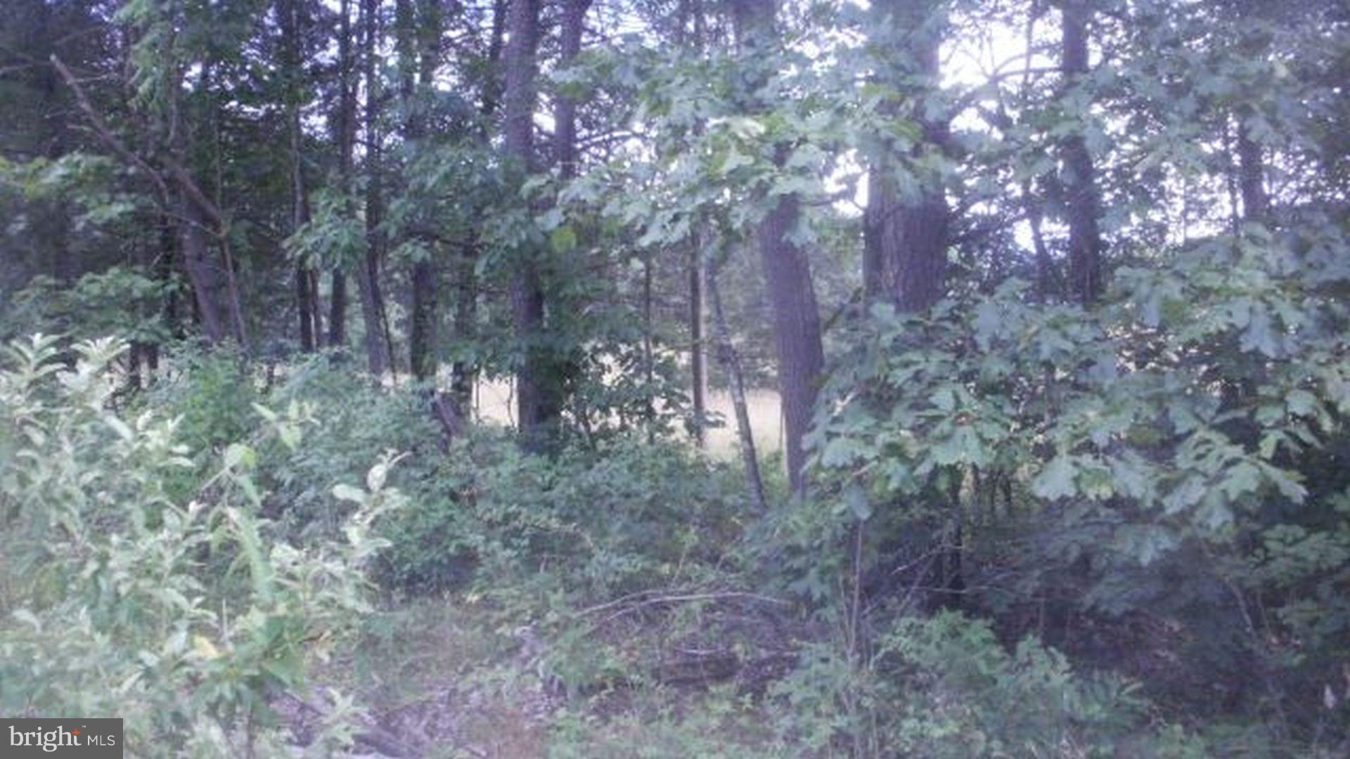 Plantation Road Middletown, VA 22645 - Photo 4 of 6 Cut trees for views of lake, mountains.