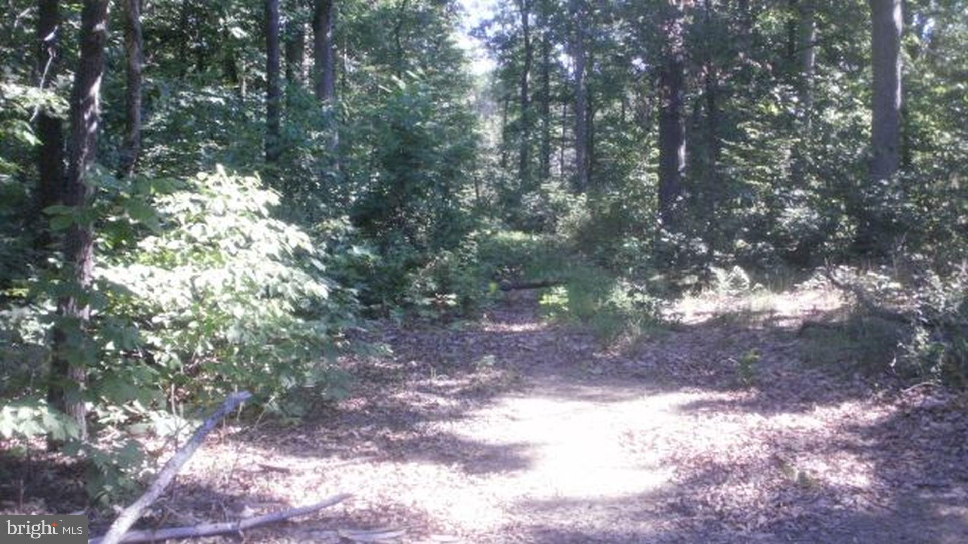 Plantation Road Middletown, VA 22645 - Photo 6 of 6 Safe for kids. Walk your dog thru the woods.