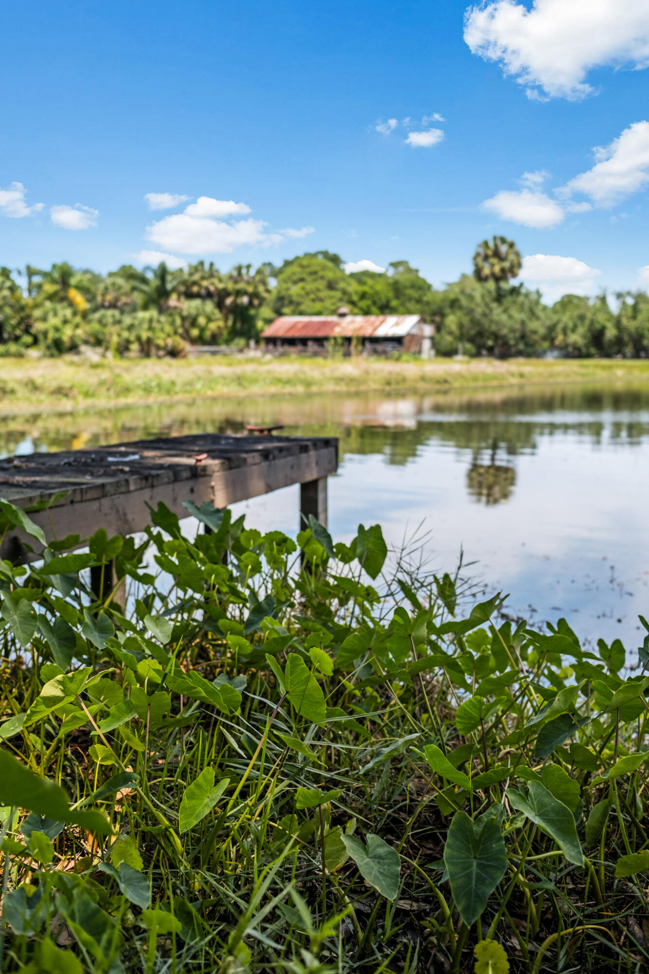5115 Ranchland Road Melbourne, FL 32934 - Photo 25 of 31 a view of a lake with a mountain in the background
