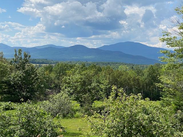 15 Stagecoach Road Greenville, ME 04441 - Photo 2 of 44 IMG_0543