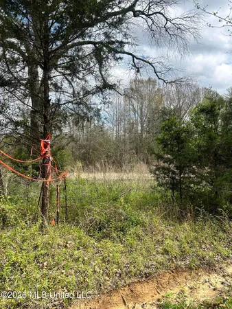 $115,000 | Lot 1 Matthews Drive, Byhalia, MS 38611
