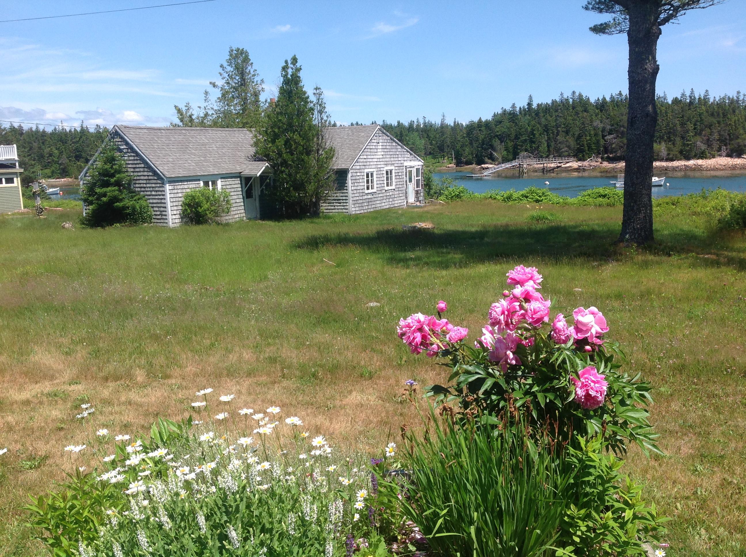 2 Little Pound Road Birch Harbor, ME 04613 - Photo 31 of 38 View frm yard