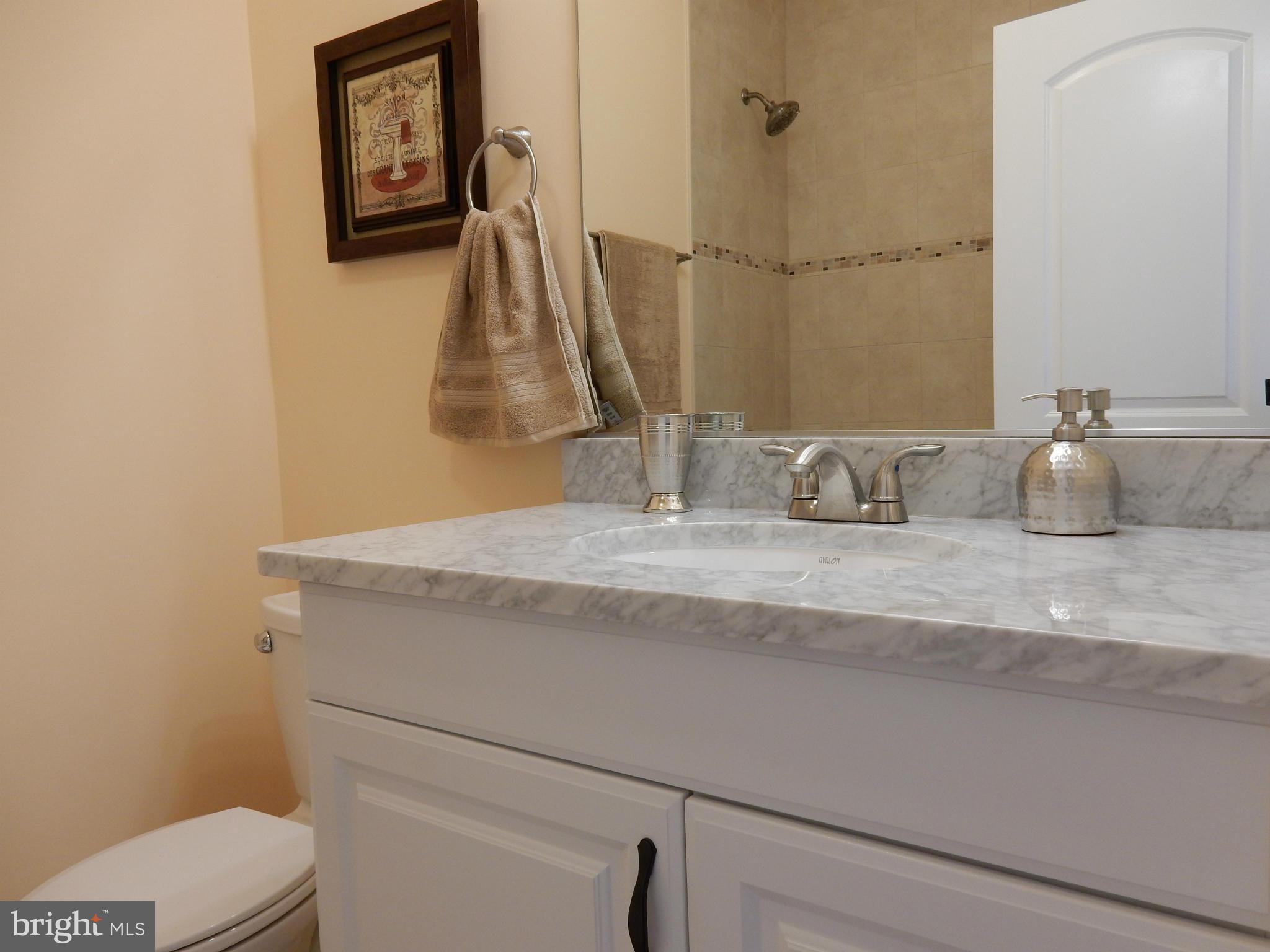 4118 Maple Road Morningside, MD 20746 - Photo 14 of 28 Bath (Master) 1