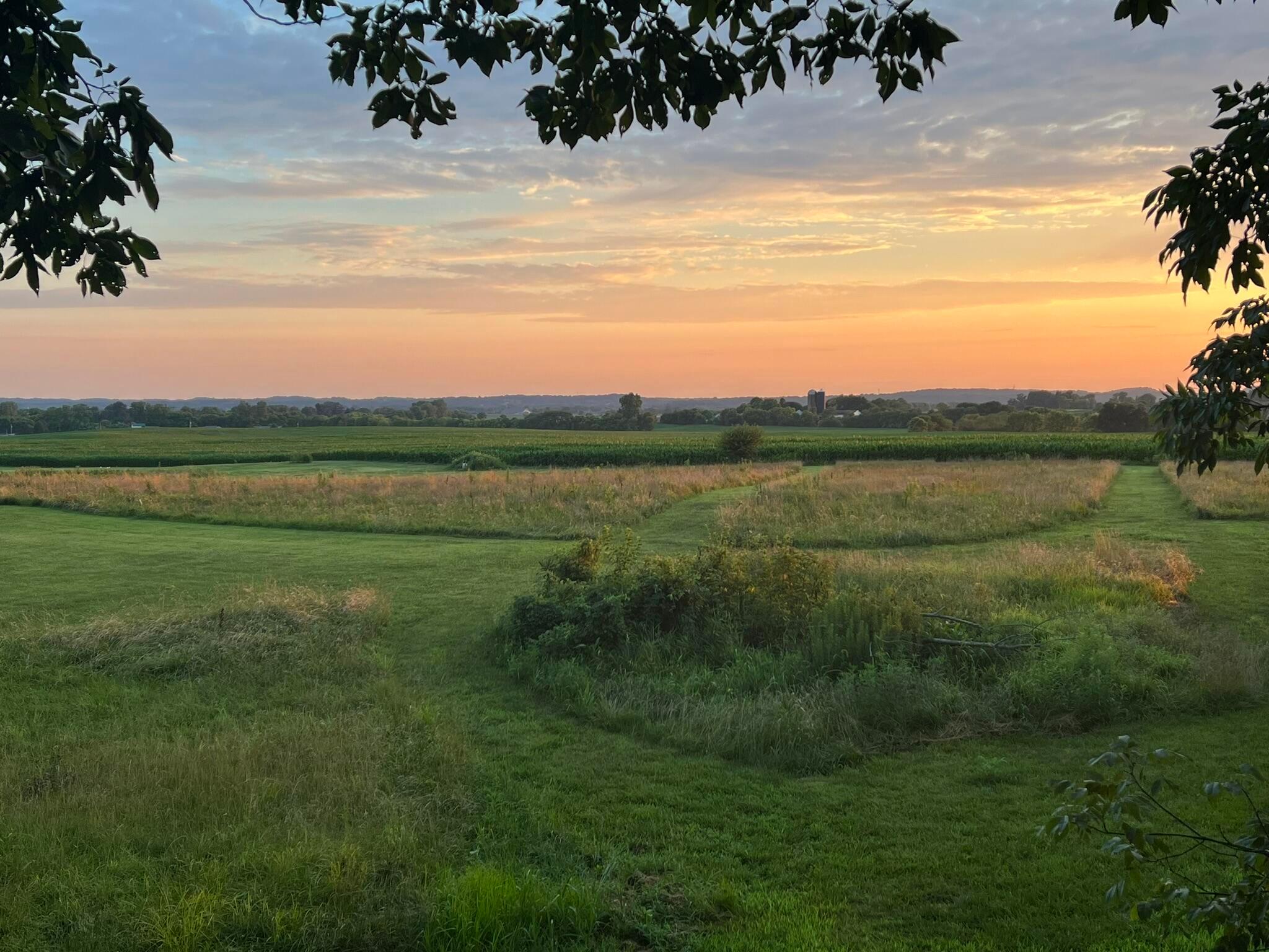 4225 Election House Road Northwest Lancaster, OH 43130 - Photo 70 of 96 Backyard view at sunset