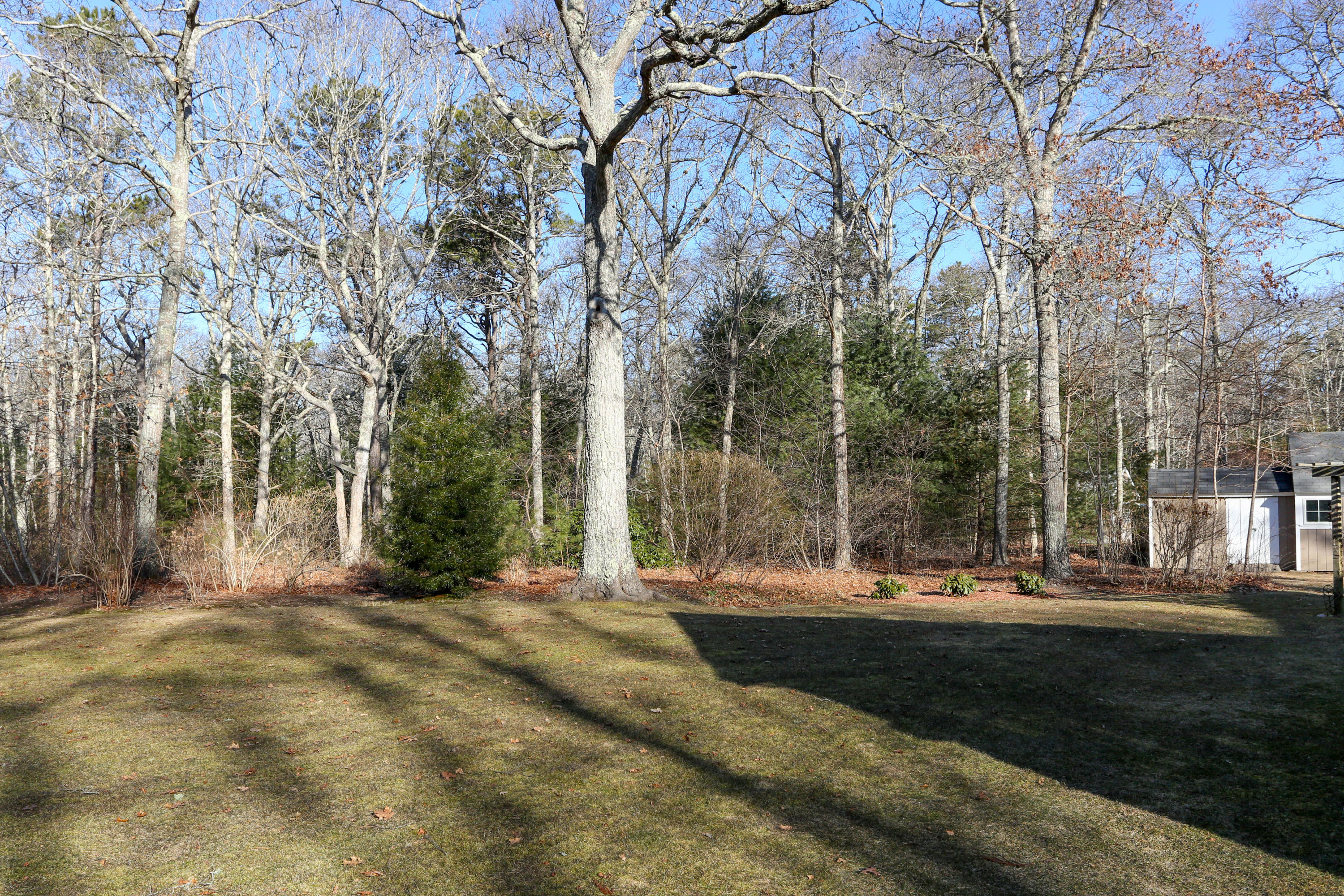 81 Pinkham Road Sandwich, MA 02563 - Photo 35 of 42 81PinLR-36