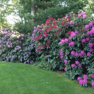 81 Pinkham Road Sandwich, MA 02563 - Photo 41 of 42 81 Pinkham 4