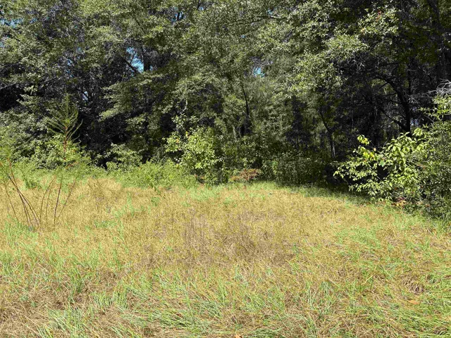 $45,000 | 10 Blue Waters Court, Tallahassee, FL 32305