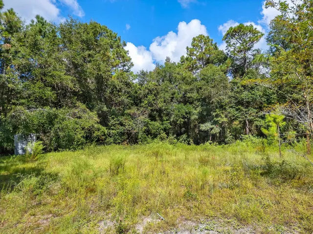 $45,000 | 10 Blue Waters Court, Tallahassee, FL 32305