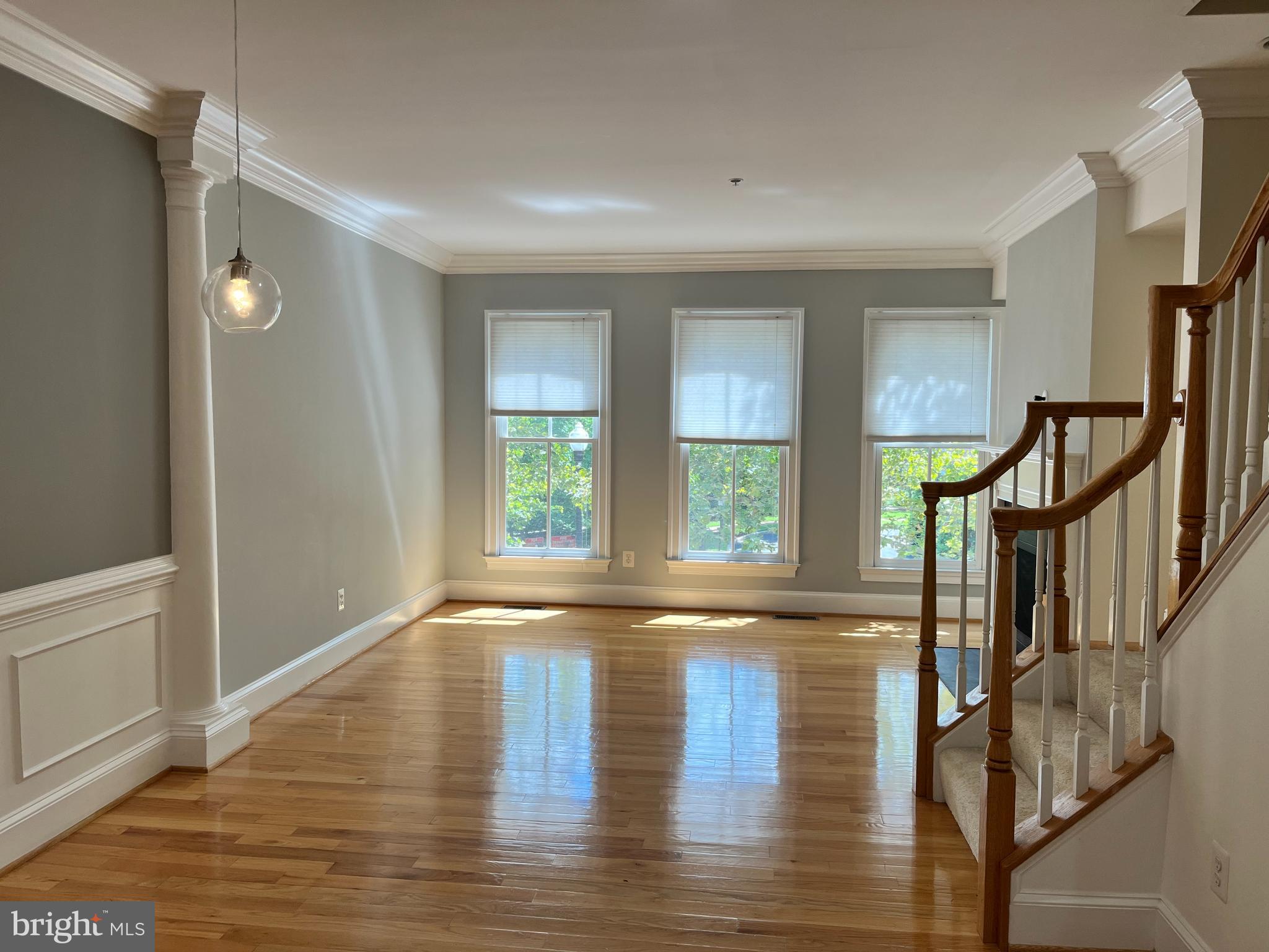 711 Carpenter Road Alexandria, VA 22314 - Photo 3 of 30 Living Room