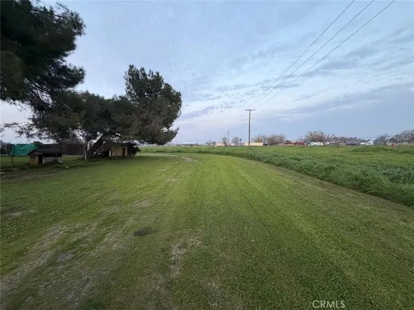 a view of a field with an trees
