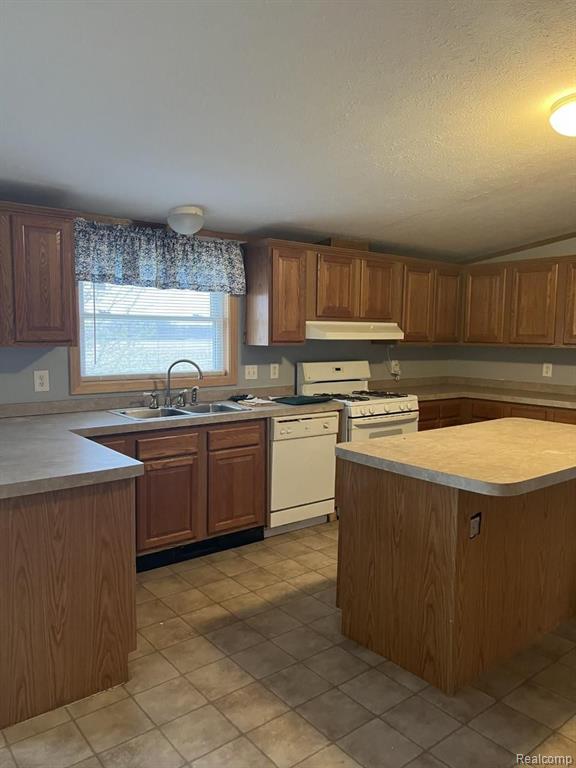 4781 North Branch Road North Branch, MI 48461 - Photo 5 of 8
