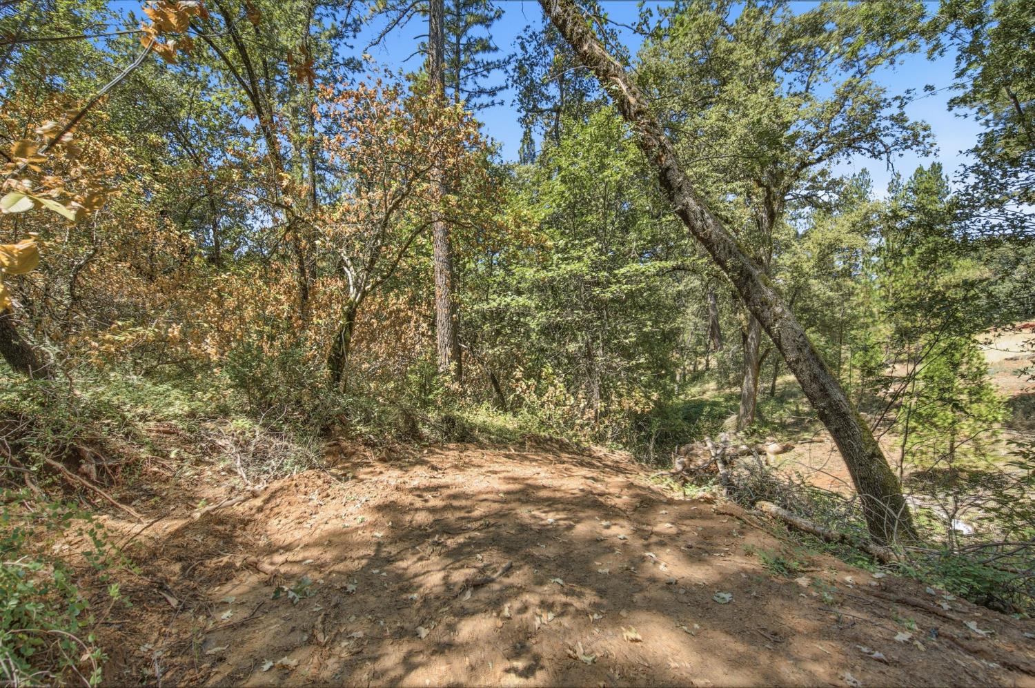 0 Sly Park Road Placerville, CA 95667 - Photo 9 of 27 Gallery Image 9