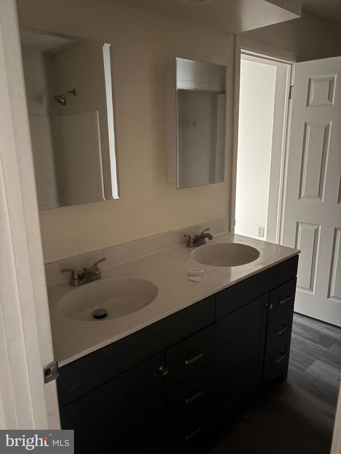 4342 Downs Square Belcamp, MD 21017 - Photo 17 of 30 a bathroom with a sink and a mirror