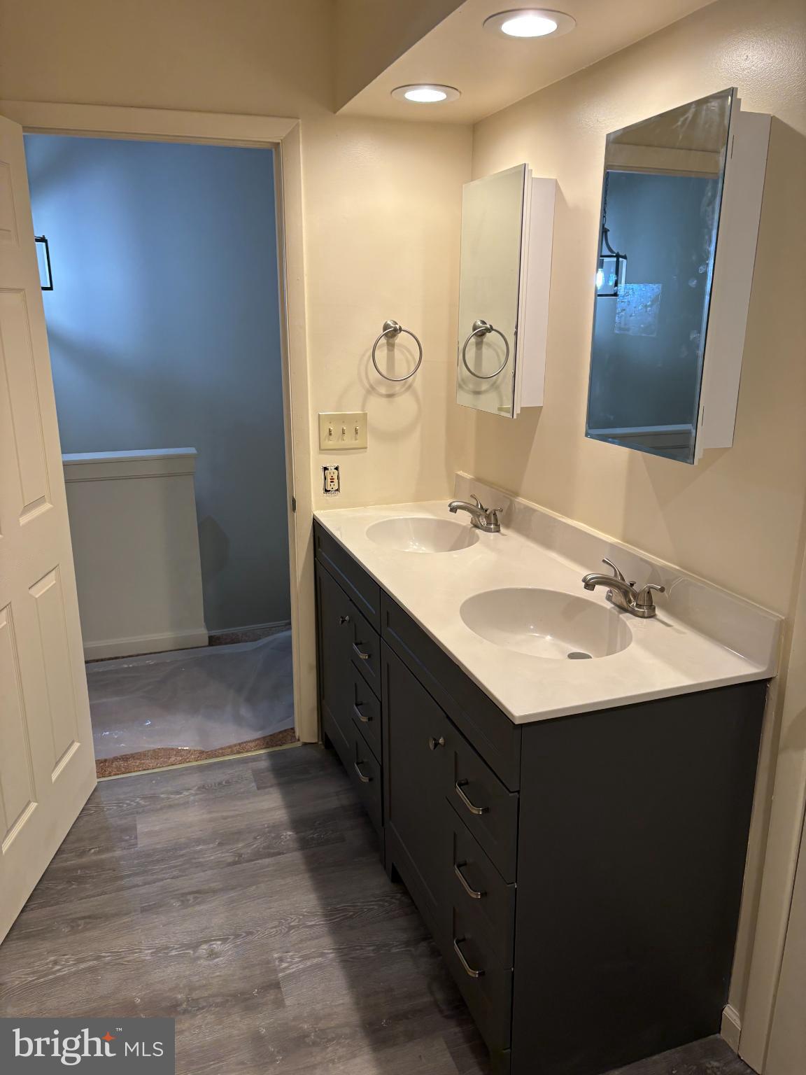 4342 Downs Square Belcamp, MD 21017 - Photo 19 of 30 a bathroom with a sink and a mirror