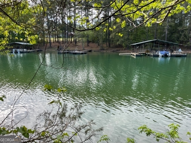 a view of a lake with a large trees