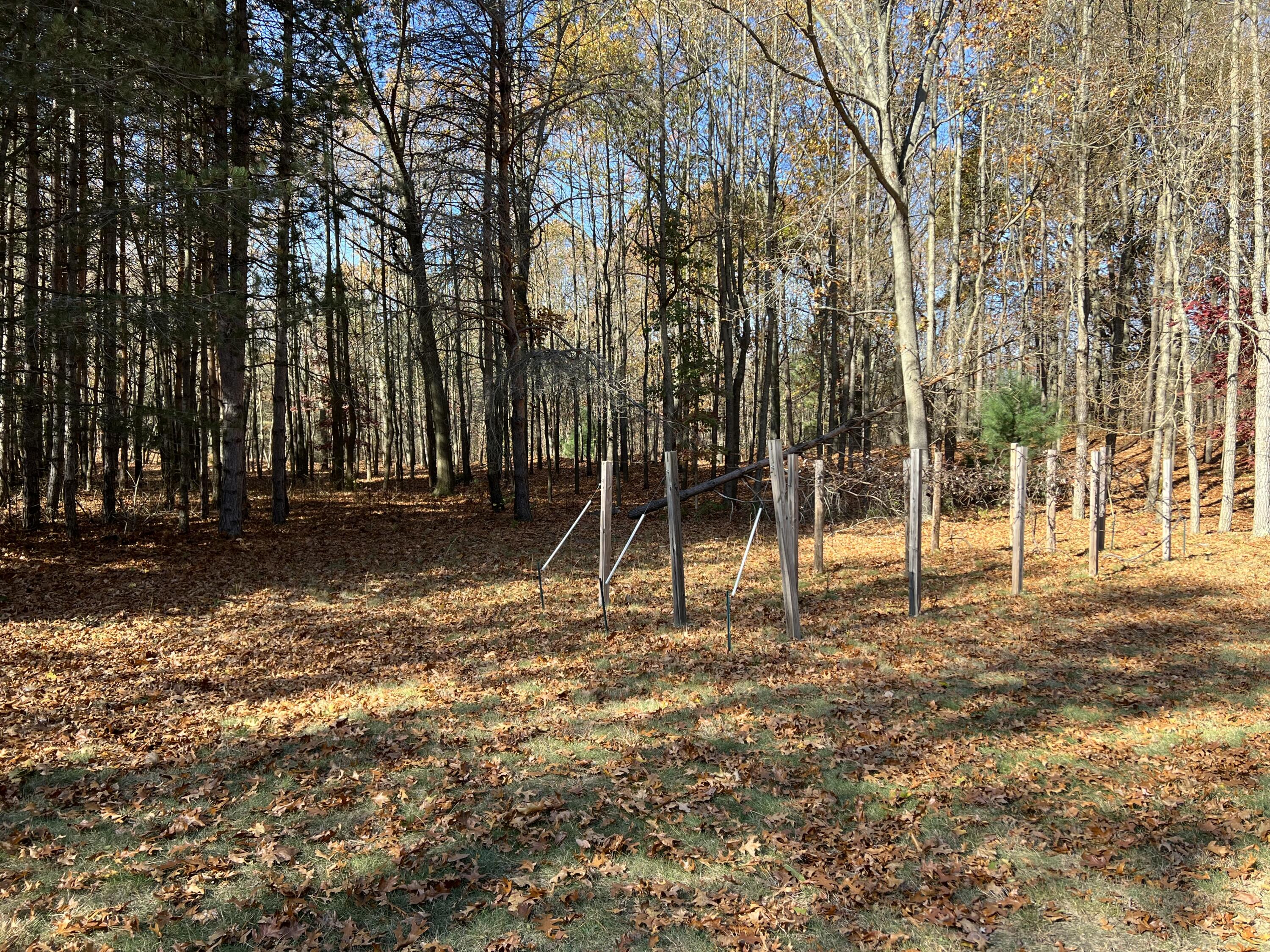 4259 Hagar Shore Road Coloma, MI 49038 - Photo 102 of 125 IMG_2161