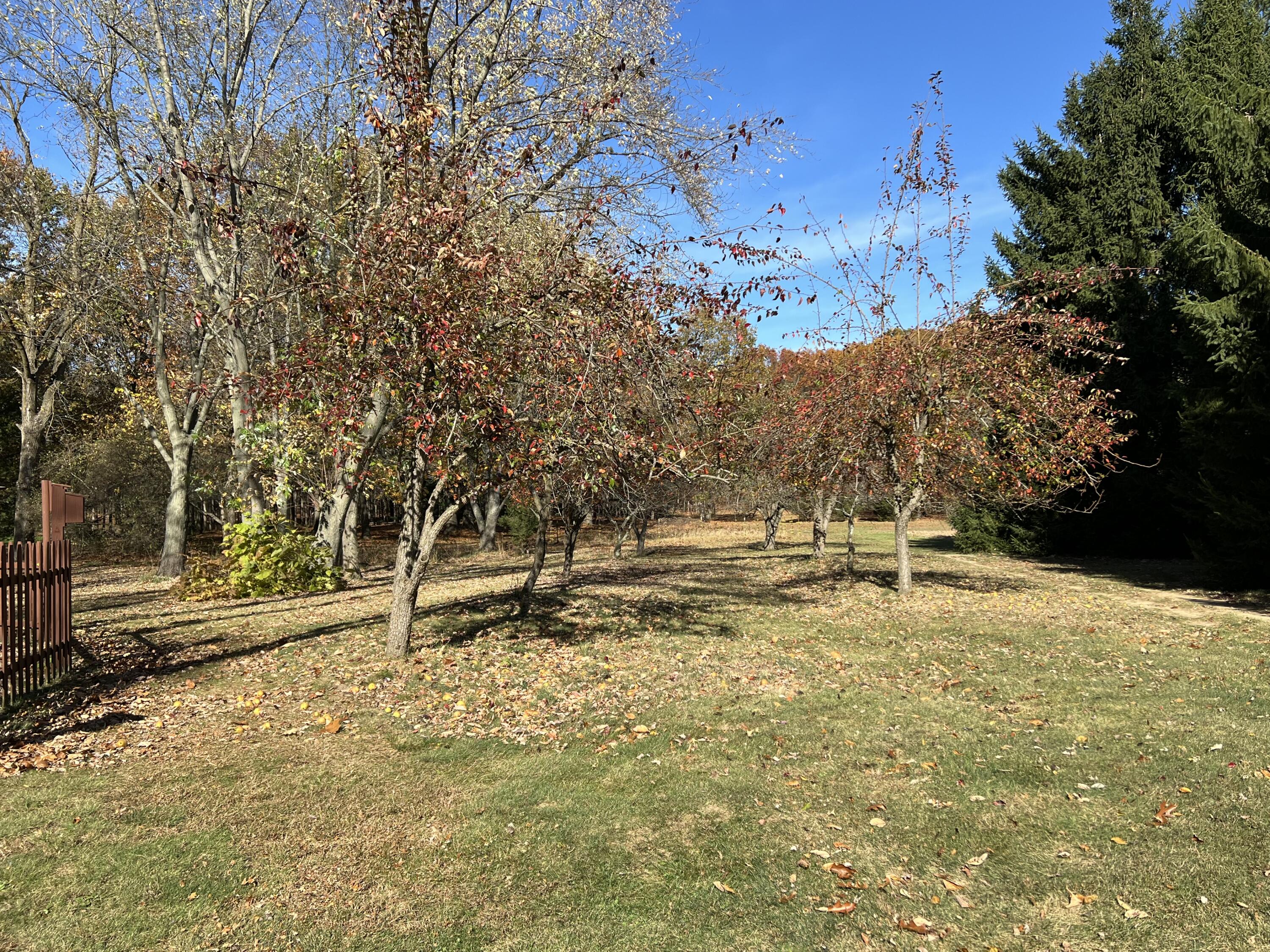 4259 Hagar Shore Road Coloma, MI 49038 - Photo 86 of 125 IMG_2175