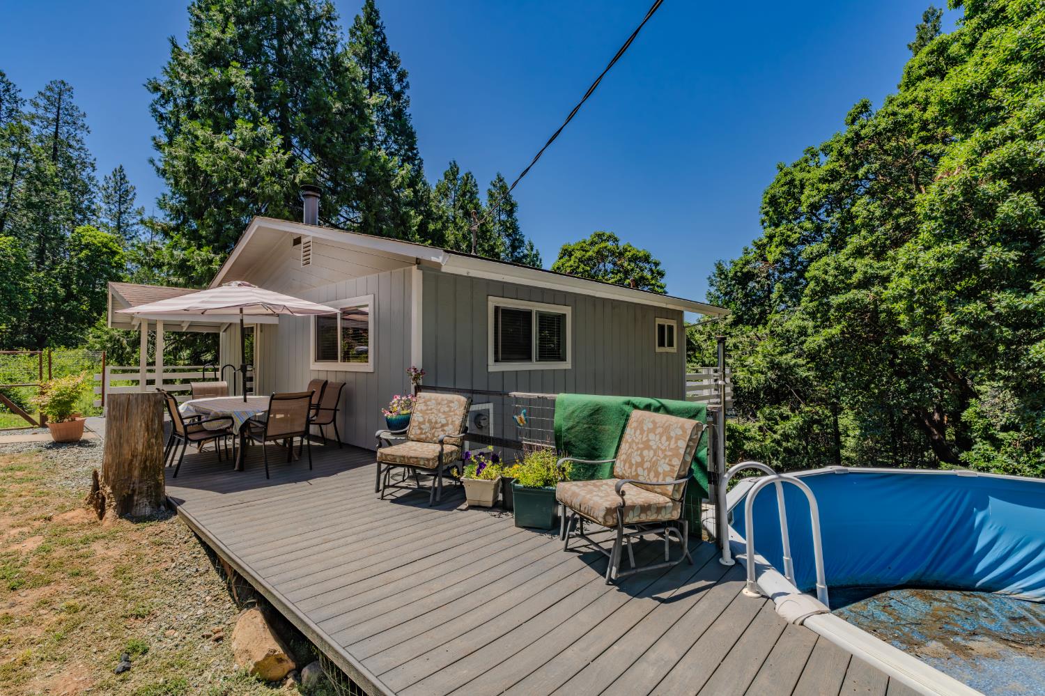 15853 Schaefer Ranch Road Pioneer, CA 95666 - Photo 4 of 68